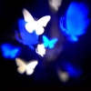 Butterfly LED Projector Bulb