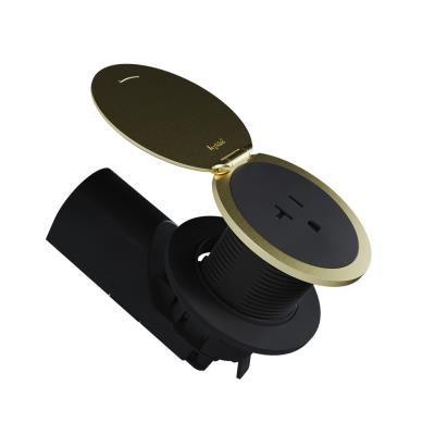 Legrand - CP498LCB - radiant - Kitchen Countertop Outlet Lid - Champagne Bronze