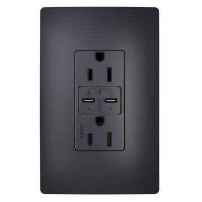Legrand - R26USBPD65GCC6 - radiant - 65W USB Outlet, Type C, 15A, Tamper-Resistant - Graphite