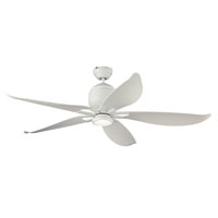 Celing fans section
